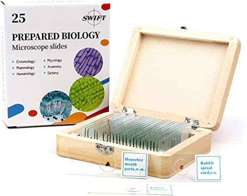 swift-caja-de-madera-con-25-preparaciones-para-microscopio image 7