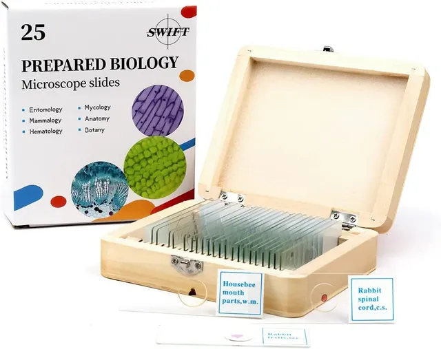 swift-caja-de-madera-con-25-preparaciones-para-microscopio image 1