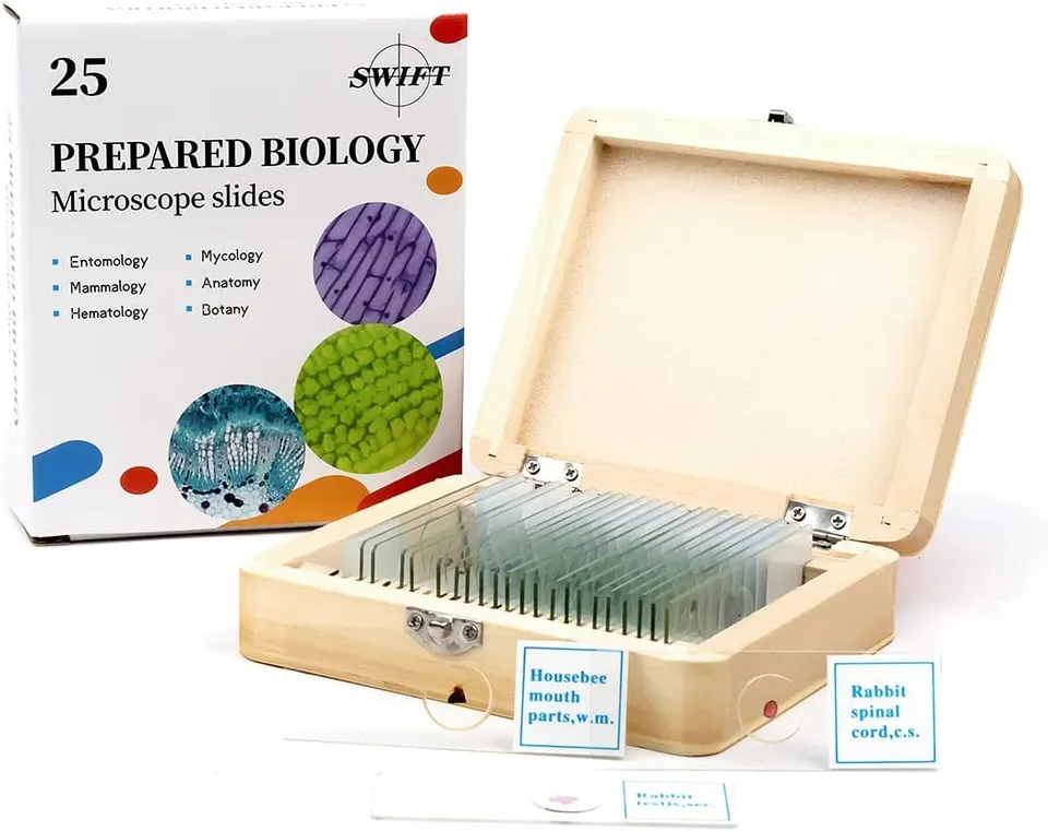 swift-caja-de-madera-con-25-preparaciones-para-microscopio image 1