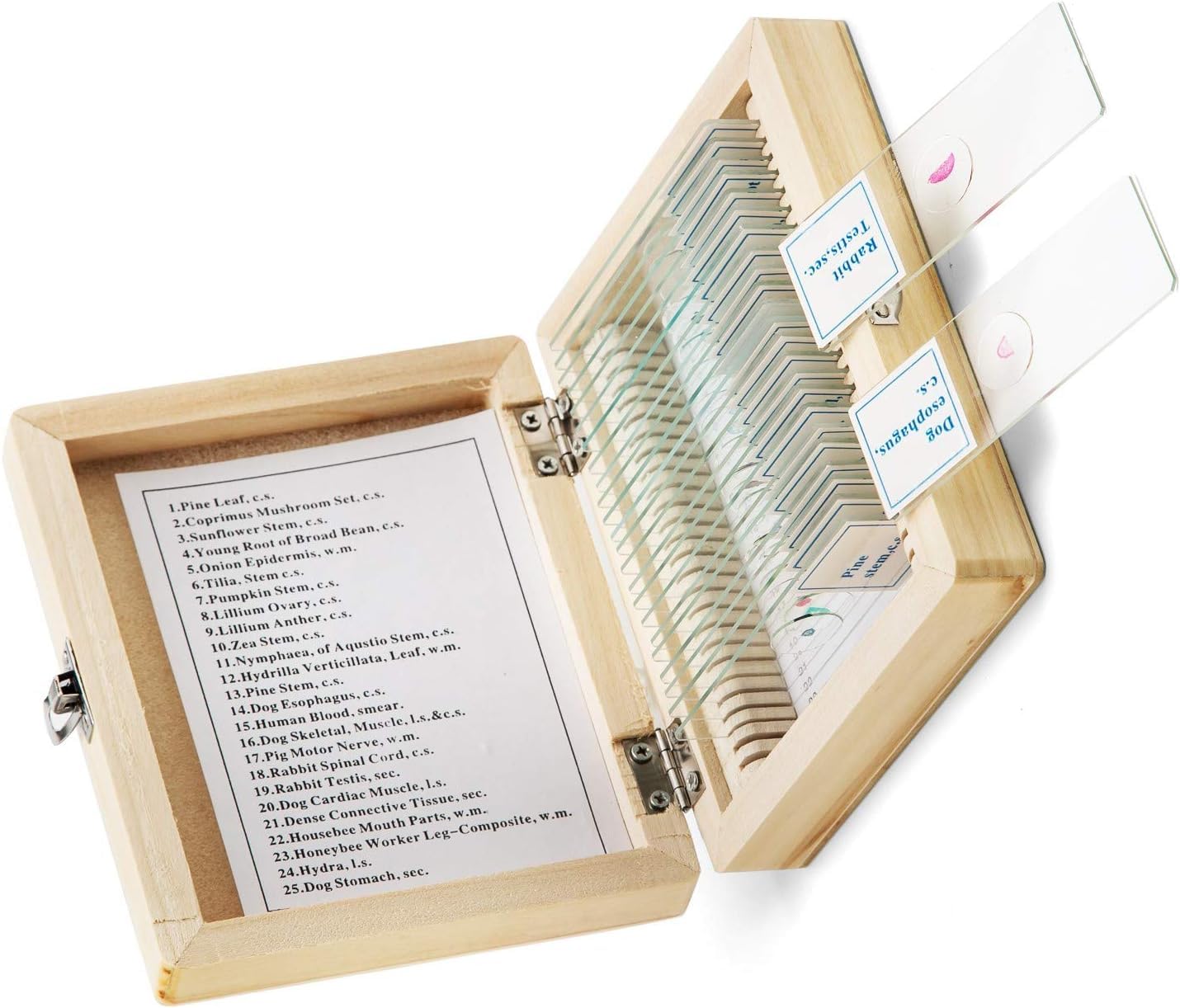 swift-caja-de-madera-con-25-preparaciones-para-microscopio image 5