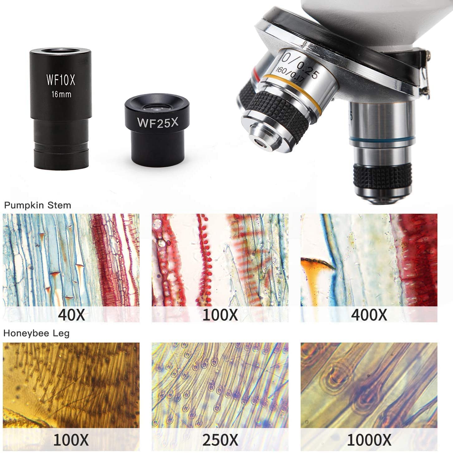 swift-sw150-microscopio-estudiante-40x-1000x-con-iluminaci-n-dual image 5