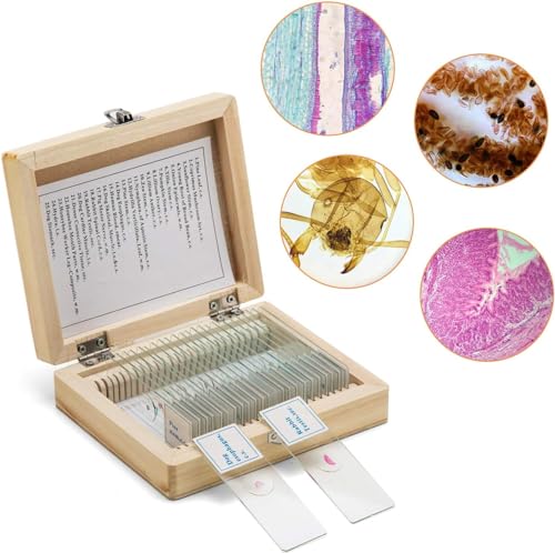 swift-caja-de-madera-con-25-preparaciones-para-microscopio image 8