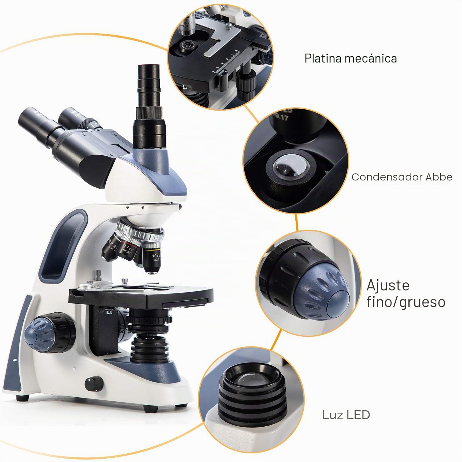 swift-sw380t-microscopio-trinocular-40x-2500x-con-c-mara-5-0mp-250-piezas image 3