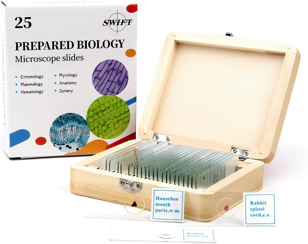 swift-caja-de-madera-con-25-preparaciones-para-microscopio image 1
