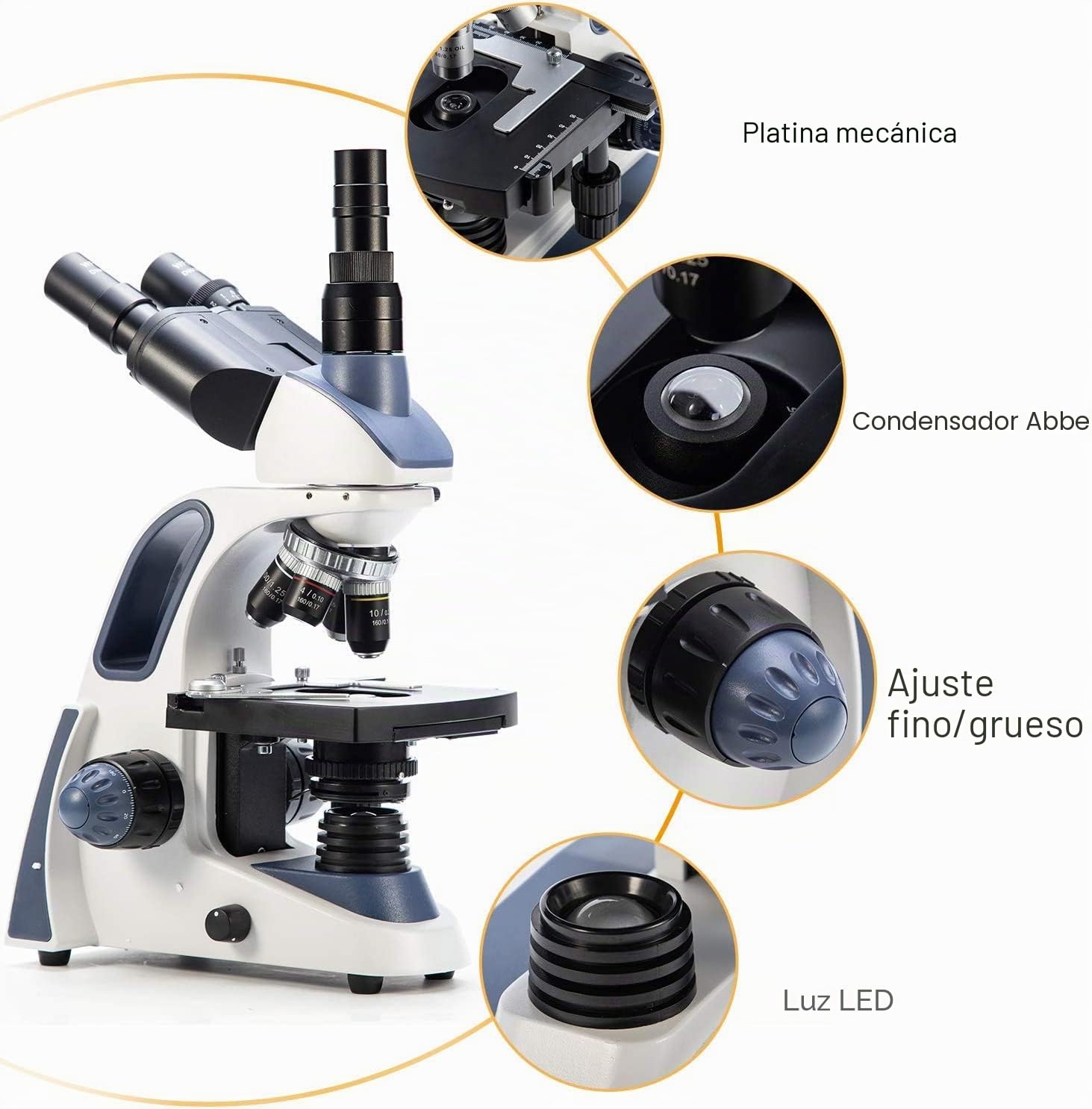swift-sw380t-microscopio-trinocular-40x-2500x-con-platina-mec-nica-doble-capa image 3