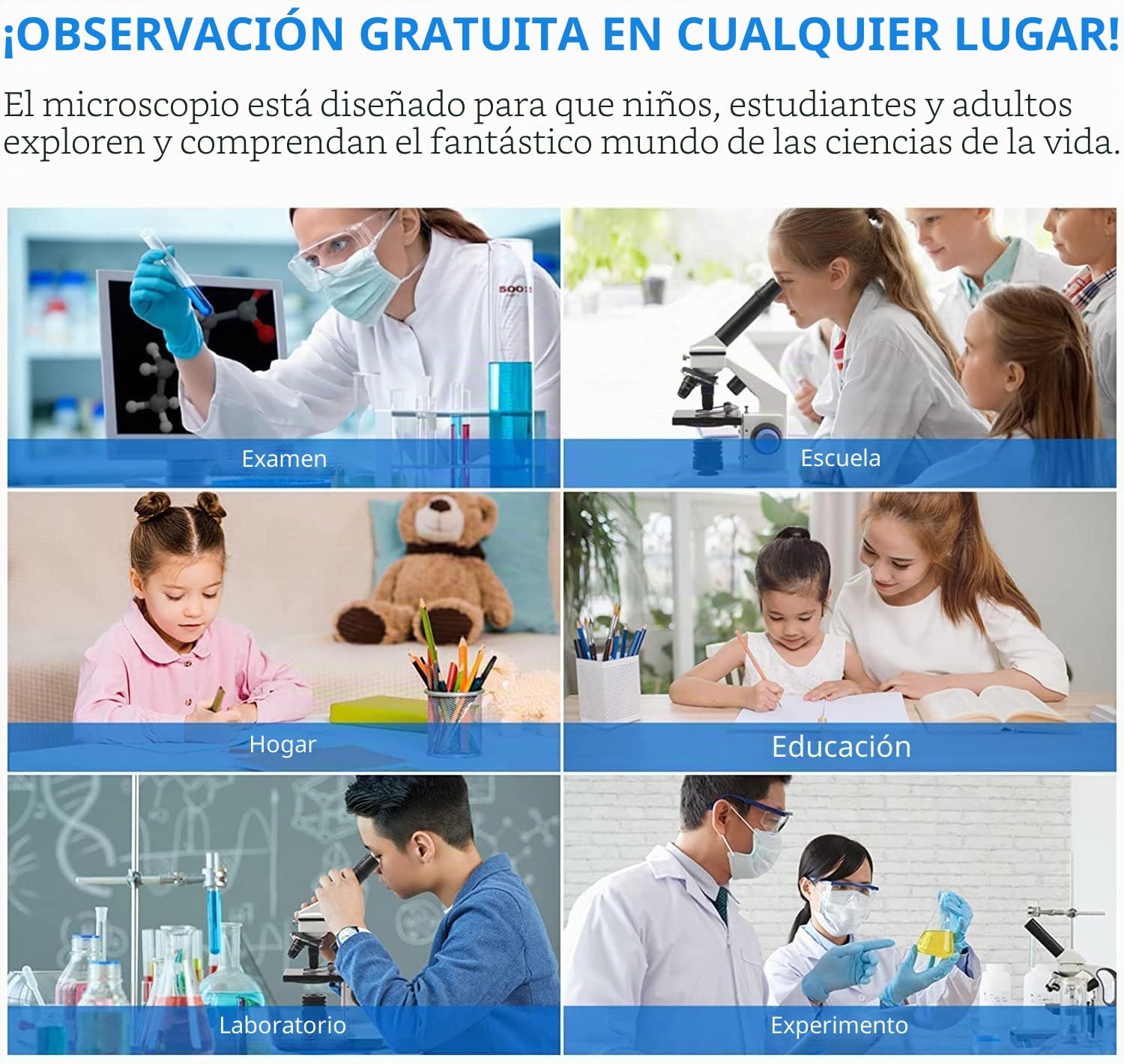 swift-ss121-microscopio-infantil-80x-2000x-con-luz-dual-y-adaptador-m-vil image 6