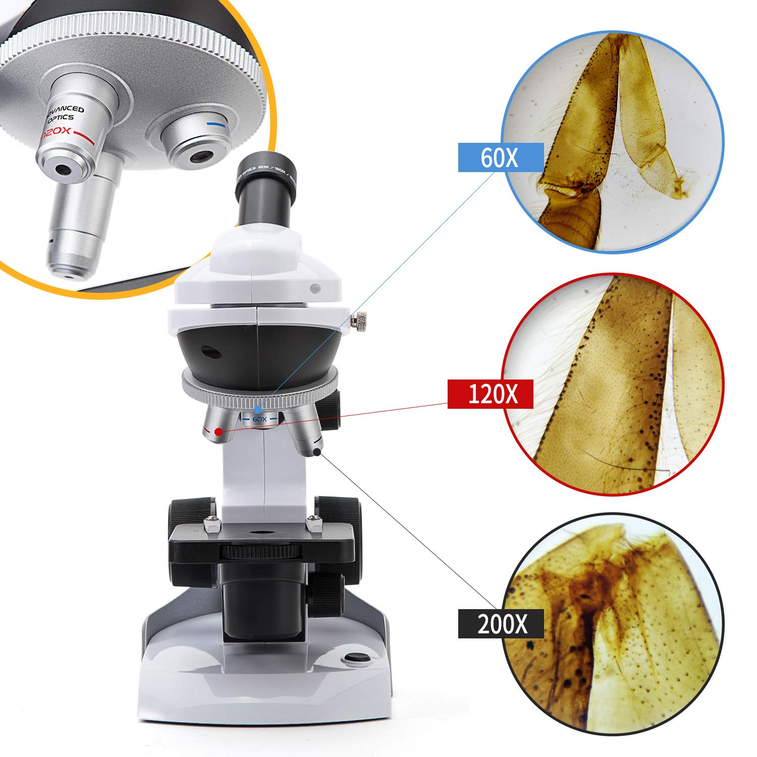 swift-ss30-8001-microscopio-infantil-60x-200x-kit-42-piezas-con-adaptador-m-vil image 5