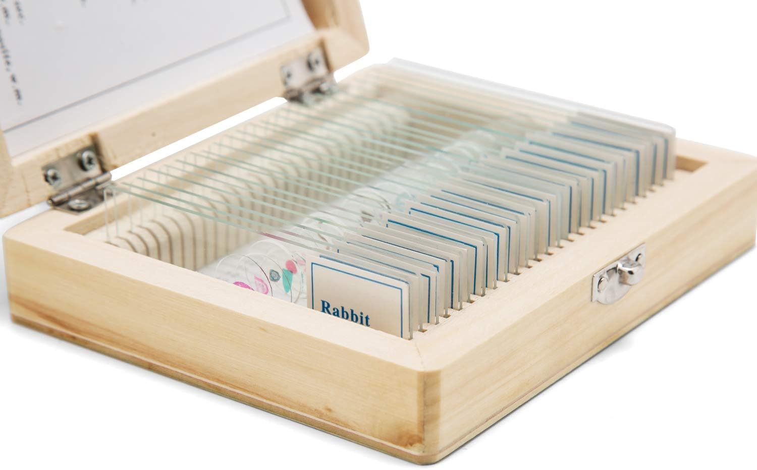 swift-caja-de-madera-con-25-preparaciones-para-microscopio image 4